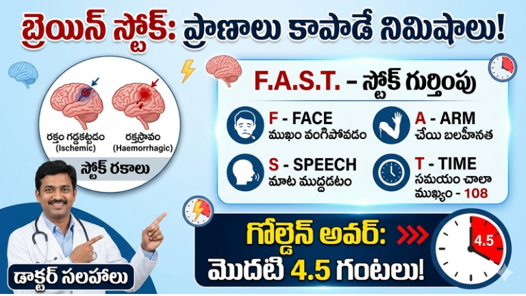 Brain